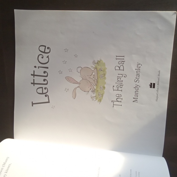 Lettice Rabbit Storybook - Picture 2 of 5